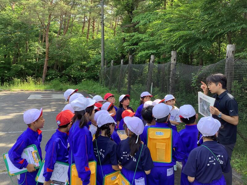 野生生物共生センターで職員の方から保護している動物の説明やクイズを出していただきました。