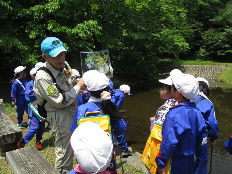沼では、モリアオガエルの卵を見ることができました。
