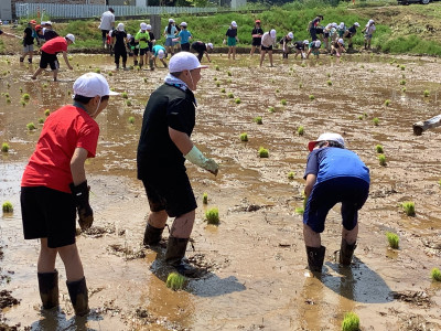 田植え１