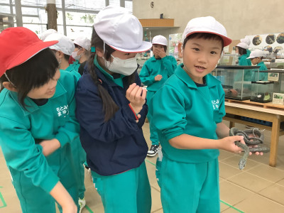 ３年ムシテック１