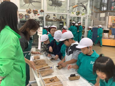 ３年ムシテック２