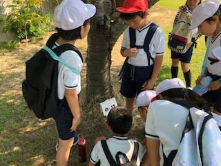 自然の家入所！海浜オリエンテーリングにトライしています。