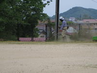 こちらの方が気合いが入っているよう。