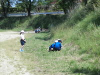 虫いないかなぁ～