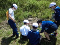 うおぉ～、なんかいる！