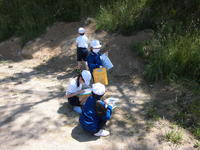 いろいろいるねぇ。