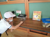 「あっ、見つけた！」