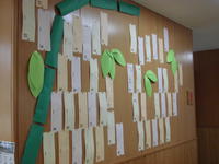 南校舎１階東側壁面