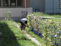 なにしてるの？