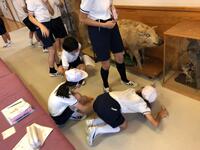 ヒント イノシシを探せ? ヒント イノシシを探せ?