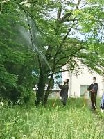 消毒作業の様子