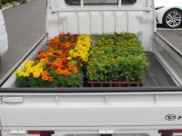 たくさんの花を届けていらっしゃいます。