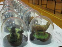 生徒作品の数々