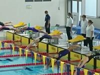 すごい飛び込み