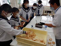 菓子処いづみやさん