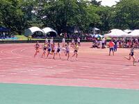 共通女子８００ｍ準決勝