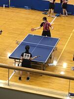 女子卓球 女子卓球