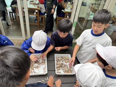 Image_20250624_104500_116