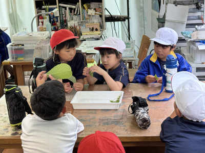 Image_20250624_112844_848