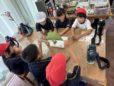 Image_20250624_112845_063