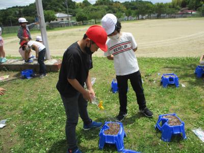 おおきくなあれ