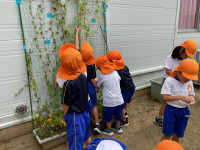 BD4F7BA4-A830-4DBD-9B8D-653A414E3153