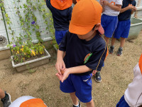 27710BC3-C65B-4FBA-B0CA-AF7B0CB6BC85