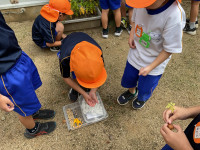 2369C121-C327-48CA-8218-EA8CC8BDCD7B