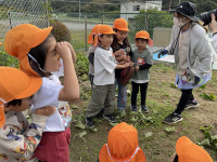 A561B443-FEF7-428D-83B8-6617AED97FA3