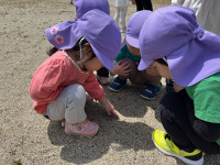 3696CBE0-56AF-41A3-A4CC-982BD07EAEF3