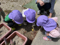 31FB873F-3766-487A-9C9C-4C88D0BCBEBC