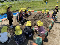 0E7DEE19-066D-4A3B-B083-17C74D4F7AD0