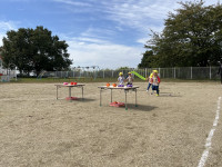 262C5EF5-26F1-45AD-937A-45DDCC81B6A2