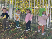 BF126A77-A716-4A88-BE26-B146BFDD6258