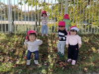 DD1B14F6-248D-4C1F-B91D-CCB7B75C9FF8