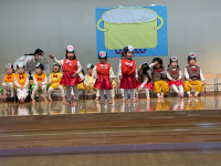 8097E2C3-20E0-4ED9-AD0B-ED8B81412CD7