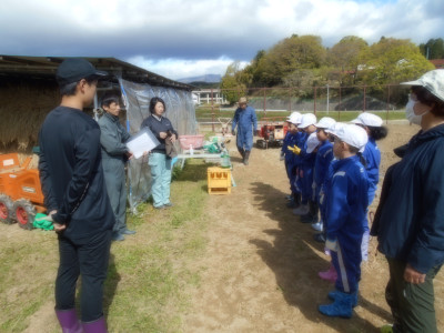 ３年とろろ芋の植え付け２
