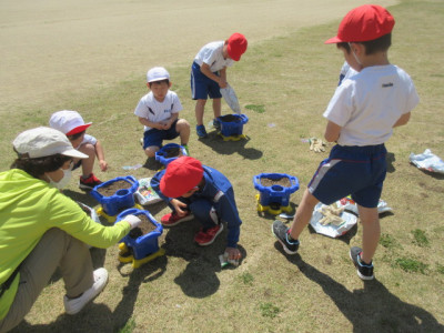 １年　あさがおの種まき