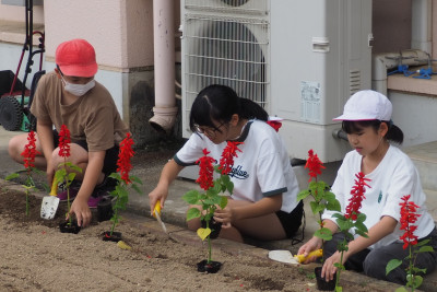 6.12　花いっぱい運動２