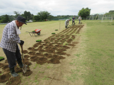 6.25　芝植え１