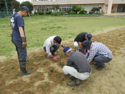 6.25　芝植え３