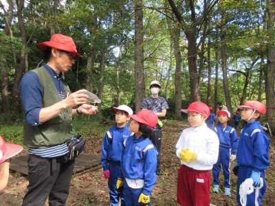 10.16 sinnrinn12 (1)