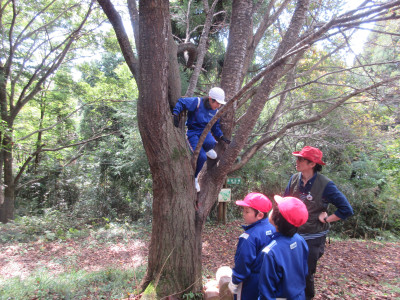 10.16 sinnrinn12 (3)