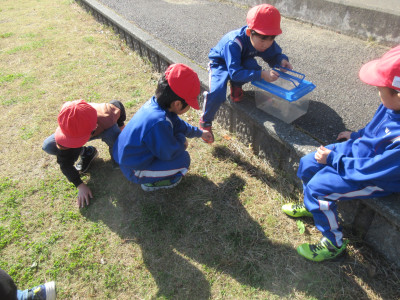 10.30 hiruyasumi (1)