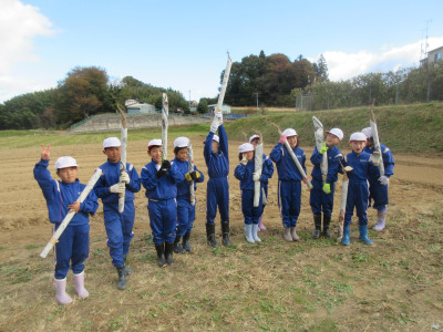 11.11 tororoimo (10)