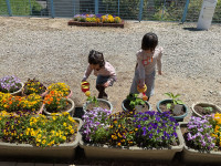 B4BCD10C-3D7E-49A8-B9A8-B0EE5699E5C0