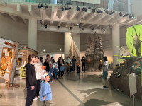 580B767B-4A75-4D85-A2A9-9B019C50F0EE