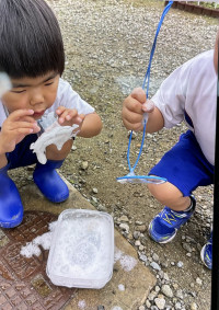 BC373BAE-6565-4BDC-8A1C-F42C26B8295A