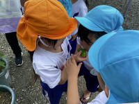 D599E540-C335-4864-8019-97D58F438B8B