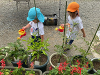 17FBDDEE-68FB-44F1-9713-FE7DF887826D